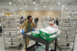 Nearly 150,000 mail ballots rejected in California’ primary despite efforts to count every vote
