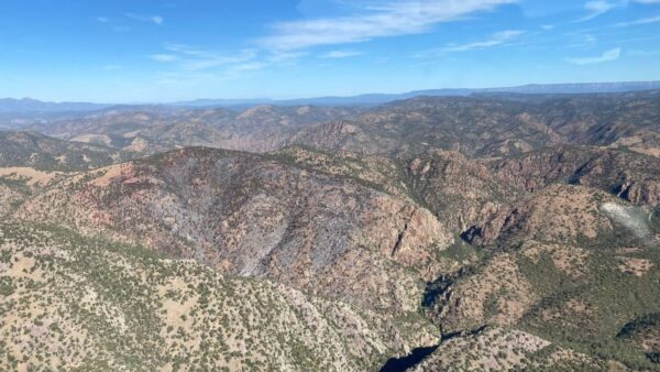 Tonto National Forest announced that it will be lifting fire restrictions due to fire danger in the area being reduced because of increased monsoon activity.