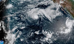 Genevieve becomes a major Pacific hurricane off Mexico, but no direct threat to land is forecast