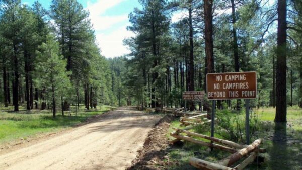 The Coconino National Forest will lift all fire restrictions on Monday at 6 a.m. because of the recent rainfall across the forest from monsoon activity, authorities said Sunday. (Coconino National Forest)