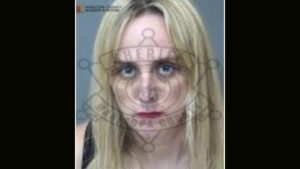 Former Arizona Democratic Party vice chair arrested on felony burglary charge in Phoenix