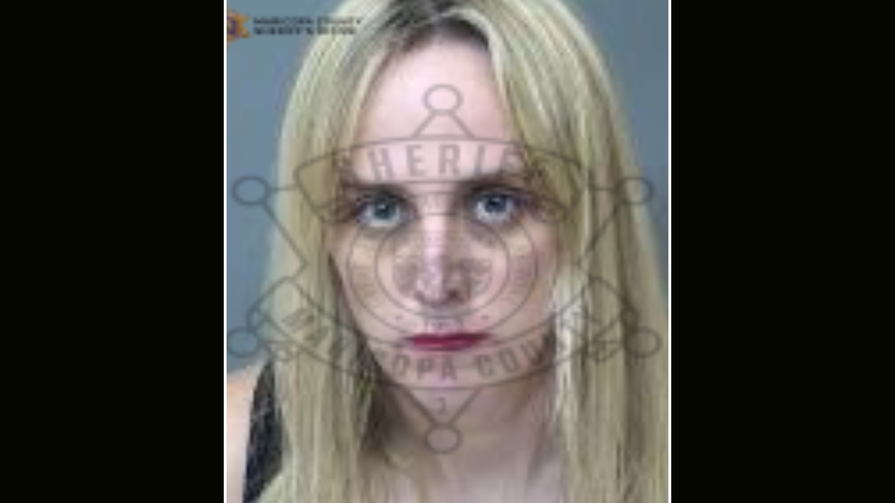 Former Arizona Democratic Party vice chair arrested on felony burglary charge in Phoenix