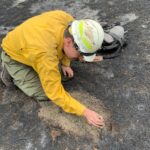 coconino national forest burned area emergency response team assessing fire severity