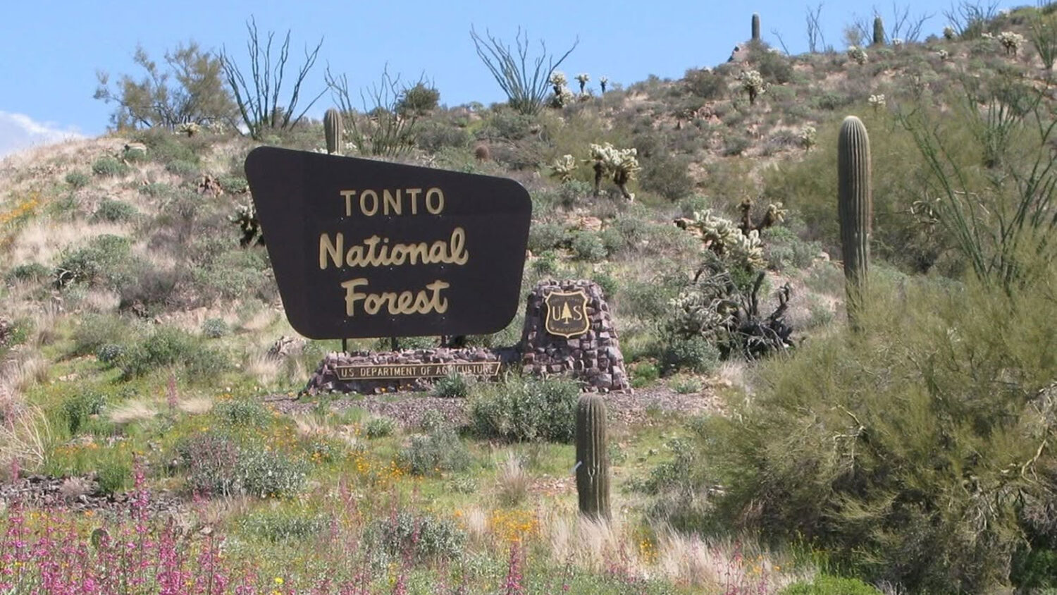 Man who lived illegally for years in Arizona national forest pleads guilty for illegal campsite, fire