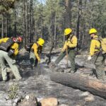 pocket fire crews gallery