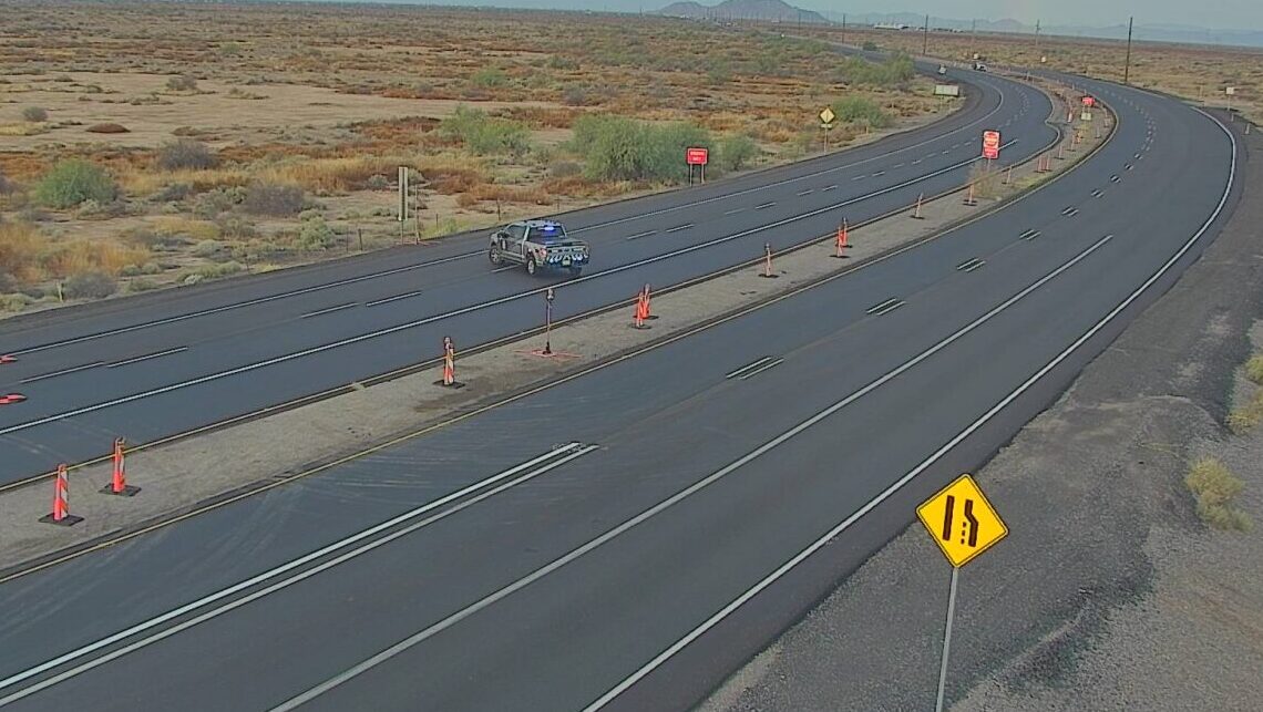 SR 347 was closed in both directions north of Riggs Road after a pedestrian was struck and killed a...