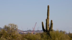 Arizona state land sales nearly double to $817.8M, fueled by major auctions