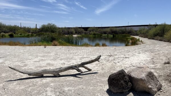 Quitobaquito Springs sits just yards from the southern border wall near the Lukeville port of entry. (Balin Overstolz-McNair/KTAR News)