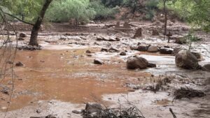 More than 20 unaccounted for after flash flooding at Grand Canyon