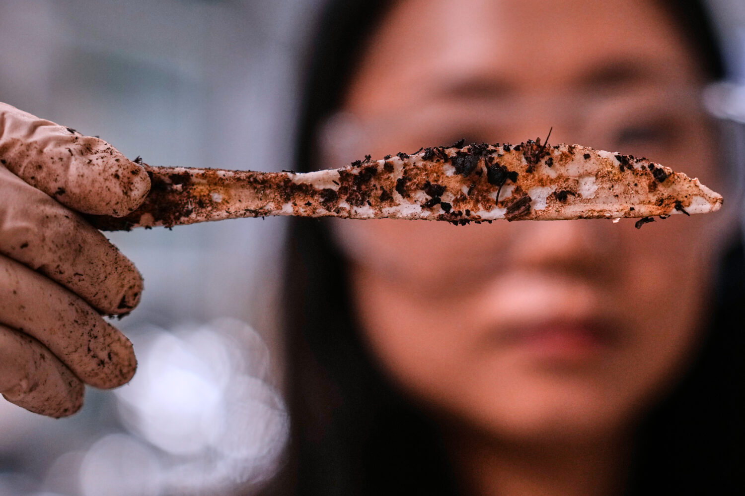 Katie Byun holds up a compostable knife, which was made with plastic made from plants, that was sta...