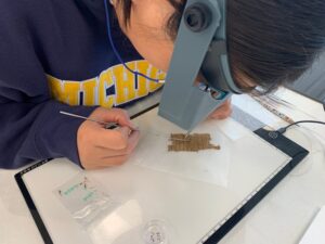 Inside one of the world’s few crash courses in conserving and caring for ancient papyrus manuscripts