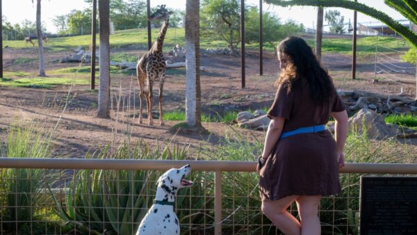 Phoenix Zoo invites guests to bring dogs