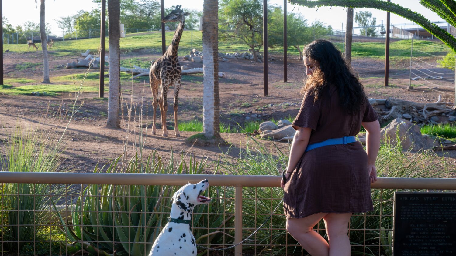 Phoenix Zoo invites guests to bring dogs...