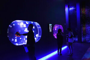 Mesmerizing jellyfish take center stage at 1st US museum dedicated solely to the floating predators
