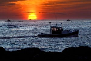 Appeals court says fishermen’s claim in lobster defamation suit raises First Amendment questions