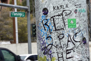 ‘RIP King’: Fans pay respect to Tupac Shakur, hope for justice as murder trial nears the end