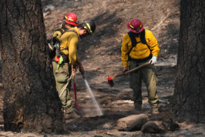 Officials warn wildland firefighters about the risks of using a supplement for smoke exposure
