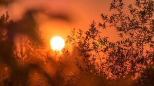 Extreme heat warning issued for Phoenix, highs up to 113 expected