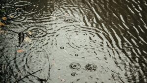 Flood watch in effect as storms, rain expected to hit Valley