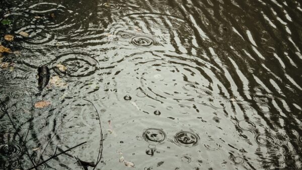 A flood watch is in effect until Monday morning as storms are expected to make their way into the Valley on Sunday. 