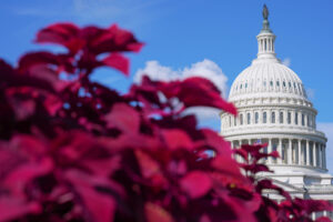 Senate to vote on resolution to halt the Iran war as gas prices upend midterms