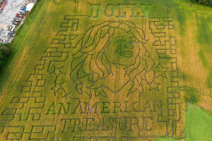 Aw shucks: Dolly Parton corn mazes crop up in fields nationwide