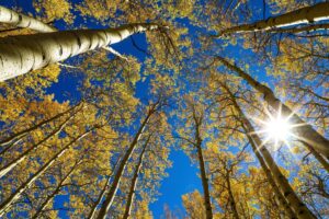 Day and night get equal billing on Tuesday. A guide to the fall equinox
