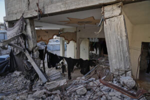 Fatal building collapse highlights dangers plaguing Gaza nearly a year after ceasefire