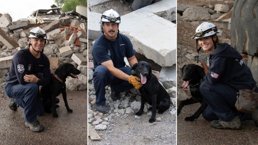 Search dogs Bunker, Ryder and Sawyer joined the Phoenix Fire Department and were announced in partnership with FEMA.