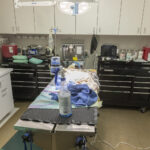 One of two new surgery suites at the Arizona Humane Society's renovated Sunnyslope trauma hospital. The organization says the updated space allows it to treat about 3,000 additional homeless pets each year. (Arizona Humane Society photo)