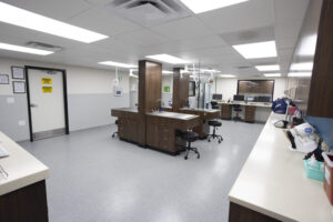 Arizona Humane Society reopens newly renovated Sunnyslope trauma hospital