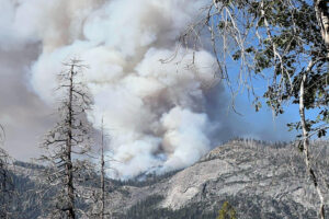 Firefighting helicopter crashes near Yosemite, killing both pilots