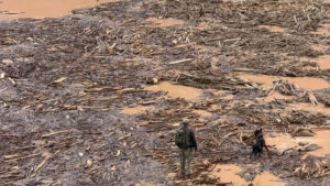 Grand Canyon hikers describe downpour, deadly flash flooding: ‘It started just opening up’