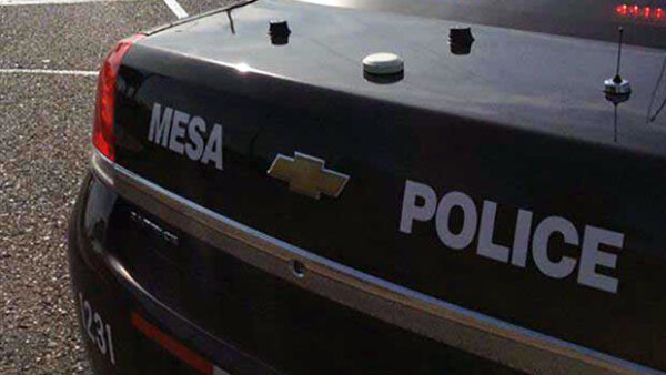 Natrell Q. Curtis, 30, admitted to pulling in front of the truck and firing his handgun at it.