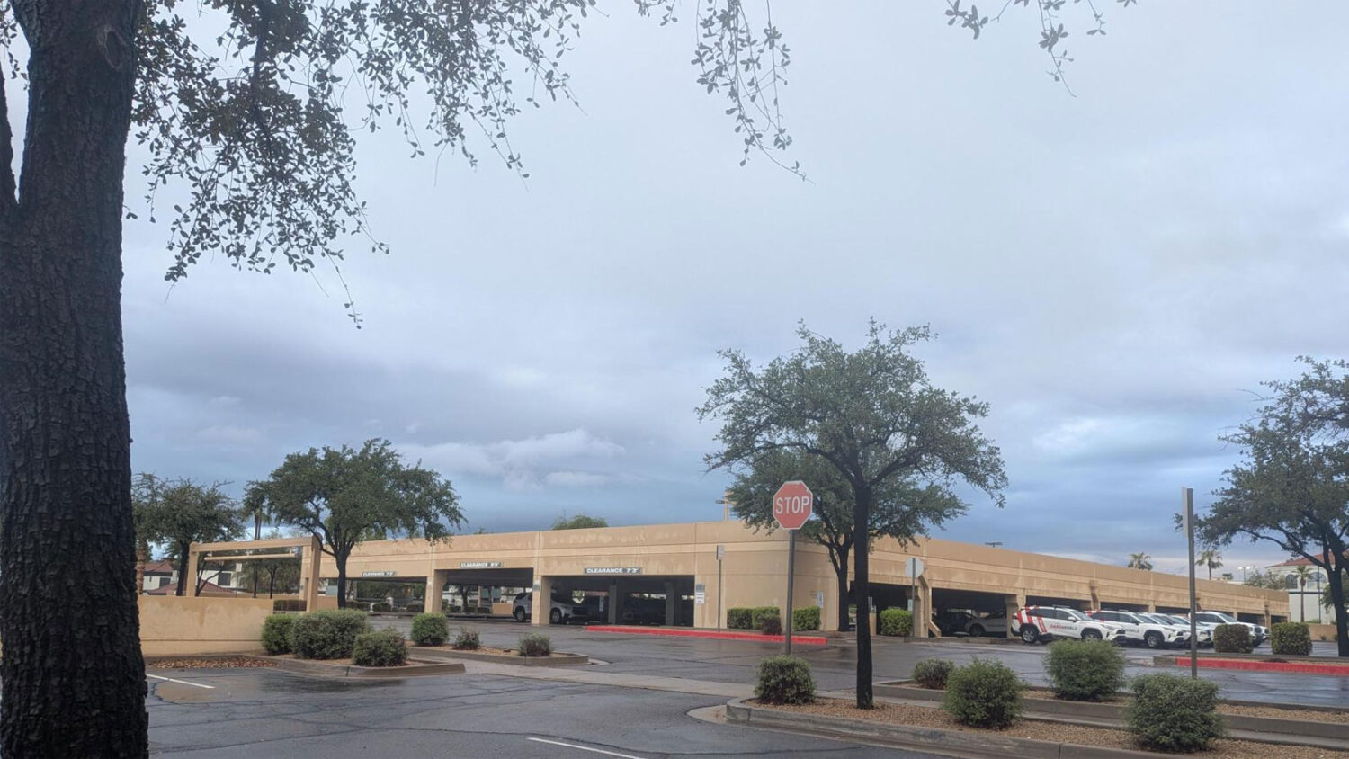 Phoenix surpassed its normal monsoon rainfall total in 2026. (KTAR News photo/Serena O'Sullivan)...