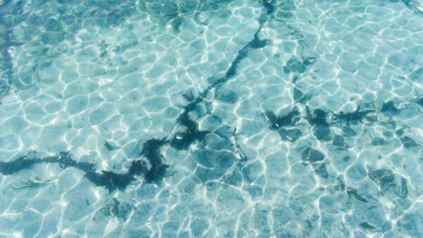 A 2-year-old was taken to a hospital after a reported drowning in Chandler on Sunday morning, authorities said. 