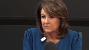 Sine Kerr ties Katie Hobbs’ veto record to pay-for-play probe