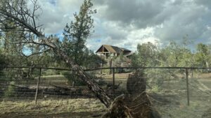 NWS confirms multiple tornadoes touched down in northern Arizona, including 1 near Prescott