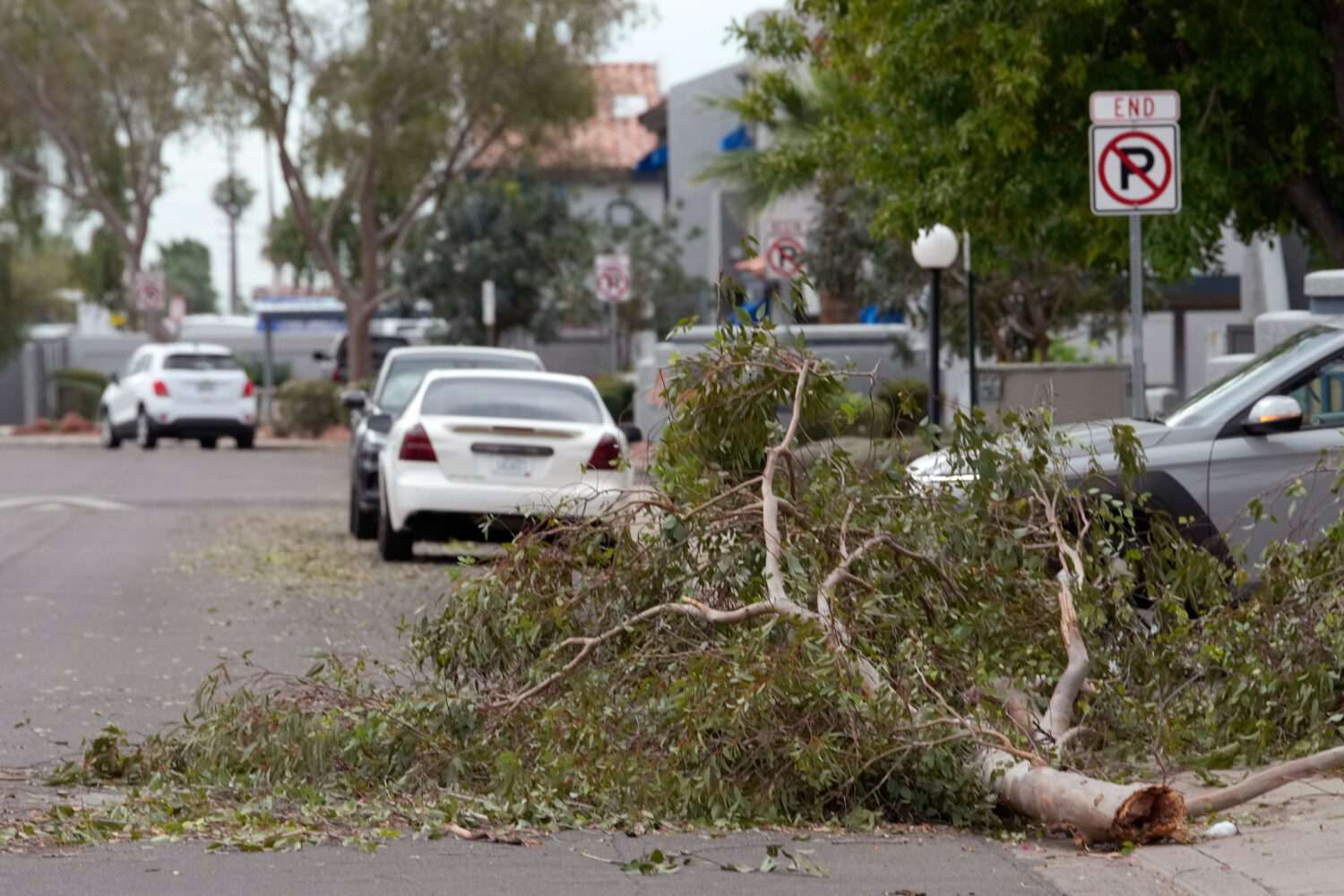 Tree debris obstructs part of a street as storms caused damage at a local apartment complex, Wednes...