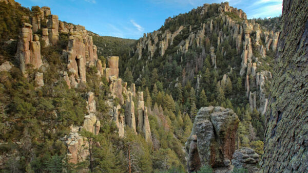 Rock formations at Chiricahua in southeastern Arizona. The former national monument is now the nation’s 64th national park. (Photo by Dukas/Universal Images Group via Getty Images)