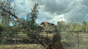 Home or car damaged in Arizona storms? What to know before seeking a payout