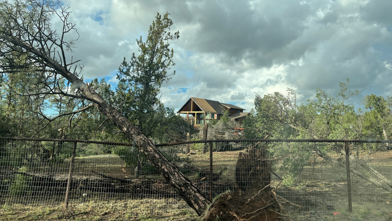 Contest Insurance Insurance claims after Arizona storms: What homeowners, drivers should ...