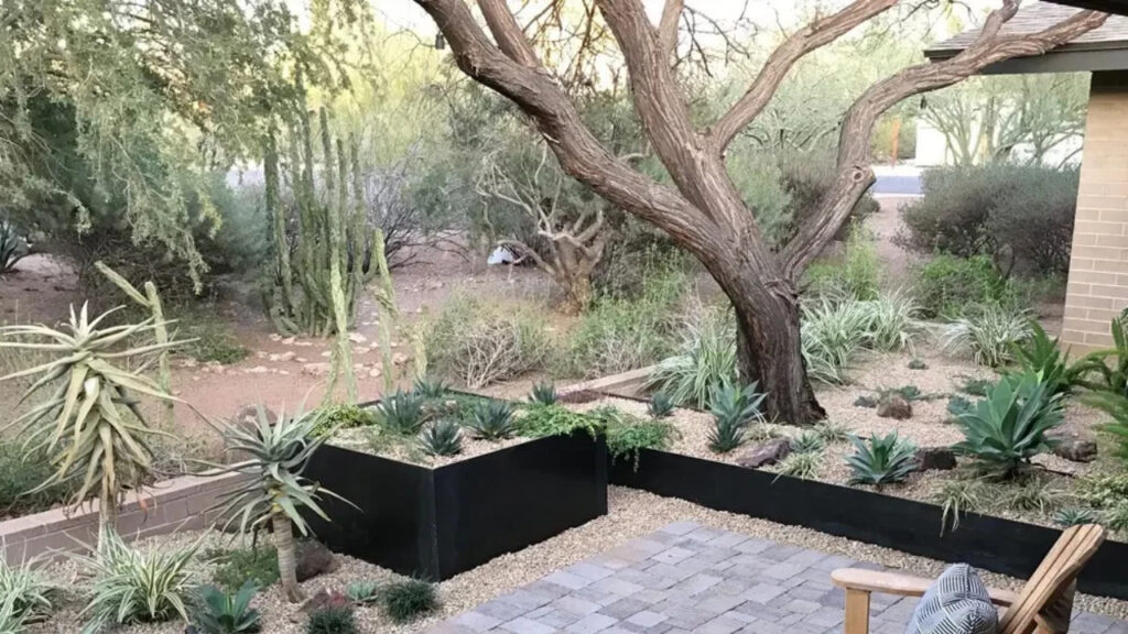 Trees can do a lot for a yard: how to best plant them