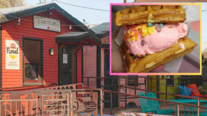 Novel Ice Cream delays opening of Peoria shop to focus on East Valley expansion