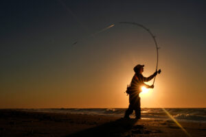 For many, striped bass fishing is a way of life. But the iconic species could face collapse