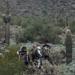 Hiker injured by falling cactus near Bell Pass Trail; rescue underway