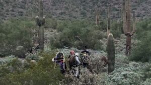 Hiker injured by falling cactus near Bell Pass Trail; rescue underway