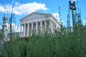Supreme Court allows New Hampshire to fully ban student IDs for voting in midterms