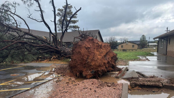 Probable tornado hits Heber-Overgaard in Northern Arizona