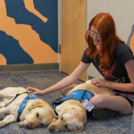 Therapy dogs bring calm and joy to students following shooting at Colorado high school